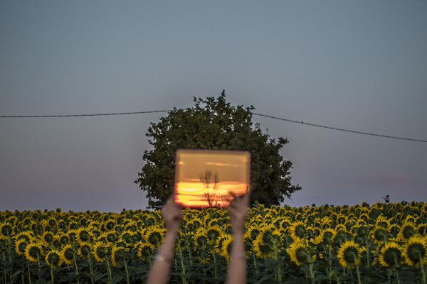 Tramonto catturato di FedericoPolliniFotografia