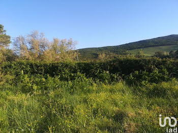 terrain à Luri (2B)