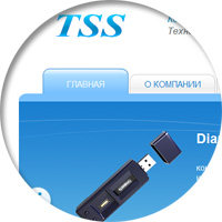 tssltd.ru