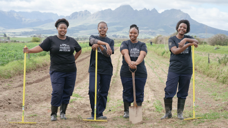 Woolworths' Living Soils Community Learning Farm gives young black farmers and agriculture students, predominantly women, training in sustainable and regenerative farming methods.