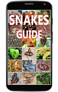 Snakes Identification Guide(圖1)-速報App