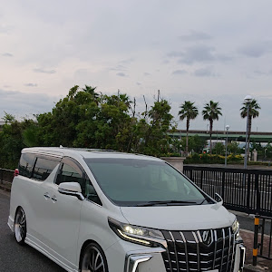 アルファード AGH30W