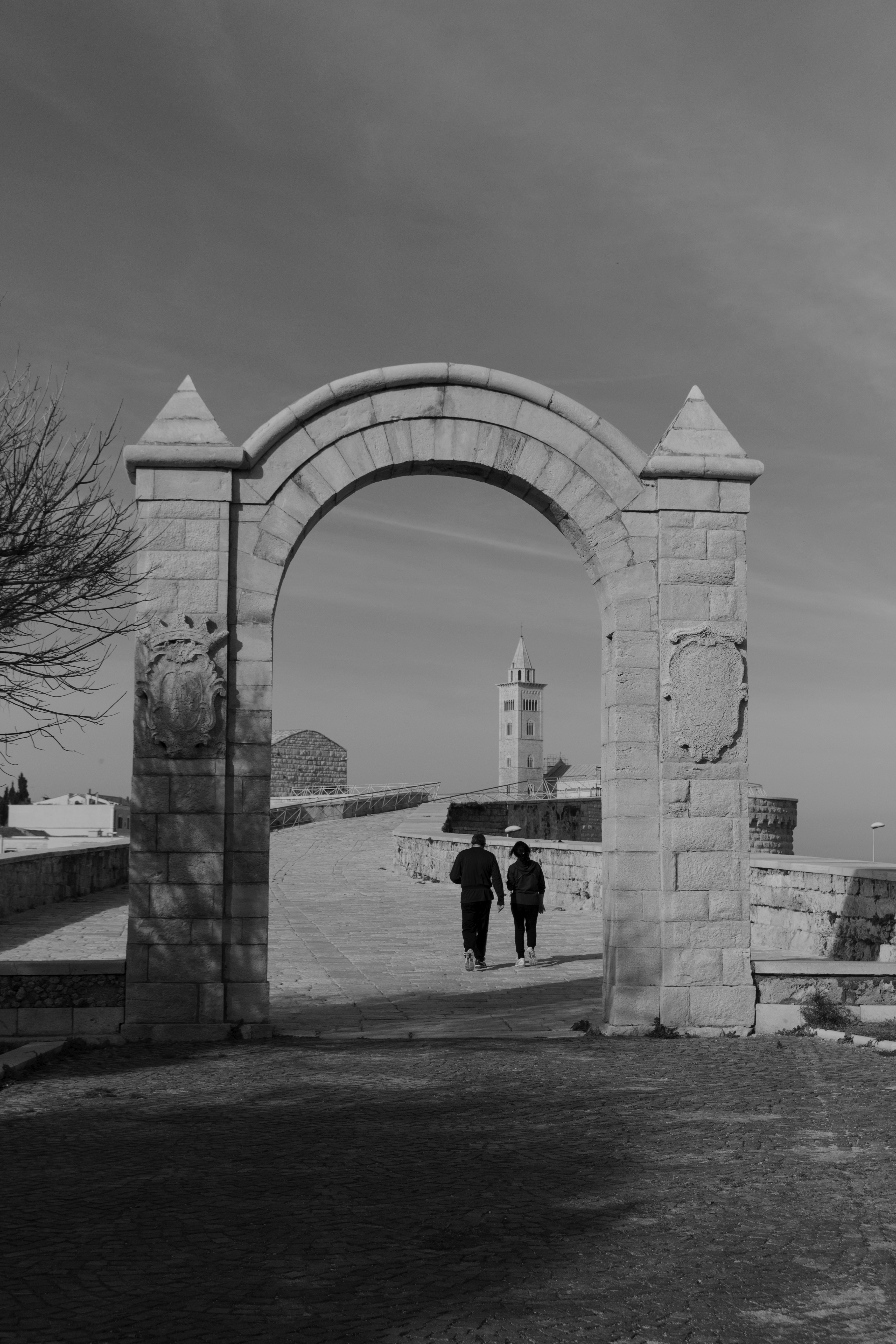 foto villa comunale trani veduta cattedrale,  di vito de mango