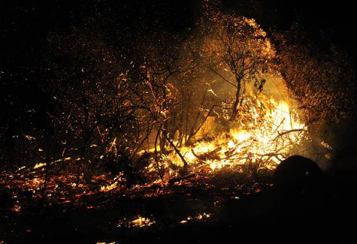 Raging fires at the Longmore Forest on June 07, 2017 in Knysna, South Africa. More than 10,000 people were forced to flee their homes overnight as fires fuelled by storm winds ripped through the Western Cape coastal town.