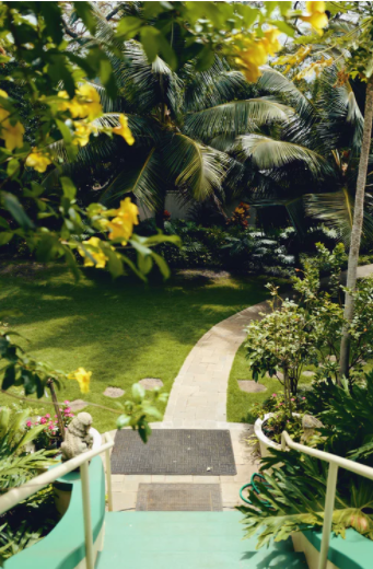 garden with white walkway and leaves