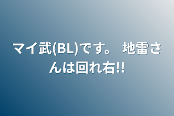 マイ武(BL)です。 地雷さんは回れ右!!