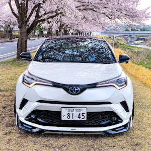 C-HR ZYX10