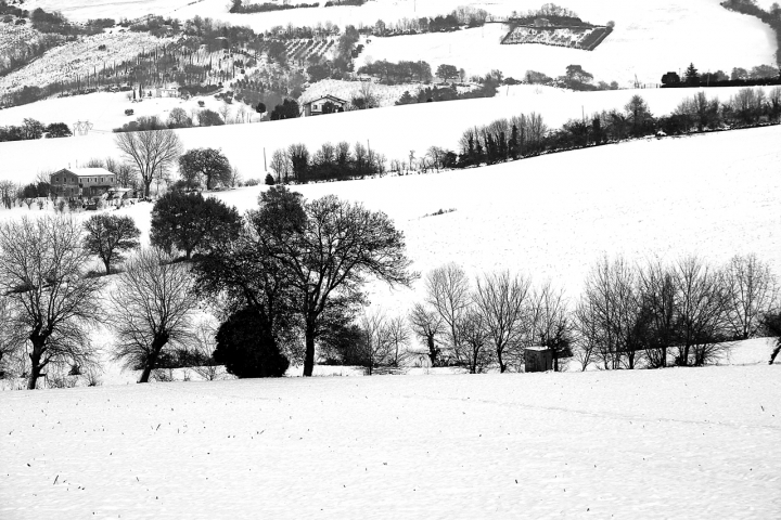 Campagna d'inverno di Mullahomark86