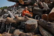 Ricci Wong, founder of HK TimberBank, poses for a picture amid timber at its factory in Hong Kong.