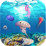 Jellyfish Live Wallpaper Apk