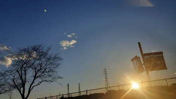 虐待児