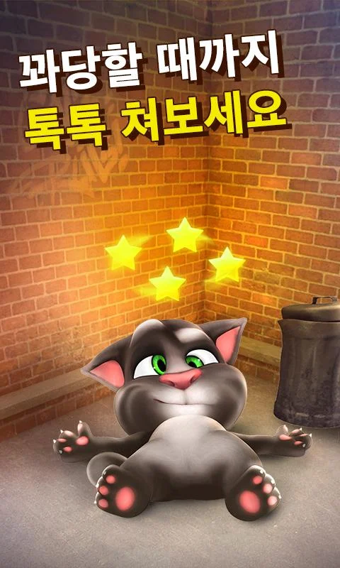   말하는 고양이 토킹톰- 스크린샷 