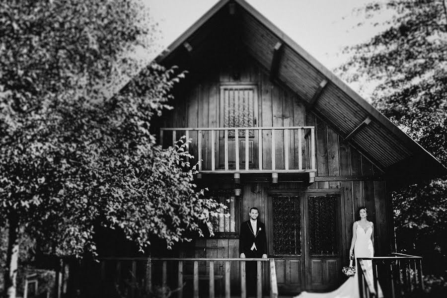 Fotógrafo de casamento Renato Ribeiro (renatoribeiro). Foto de 13 de outubro 2019