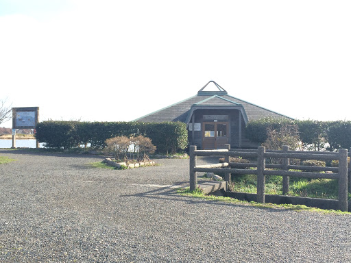 野鳥観察小屋