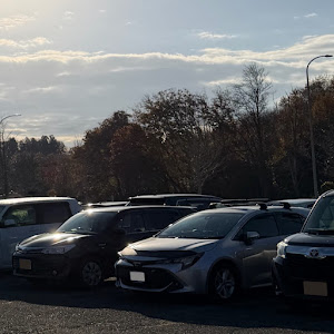 カローラスポーツ NRE210H