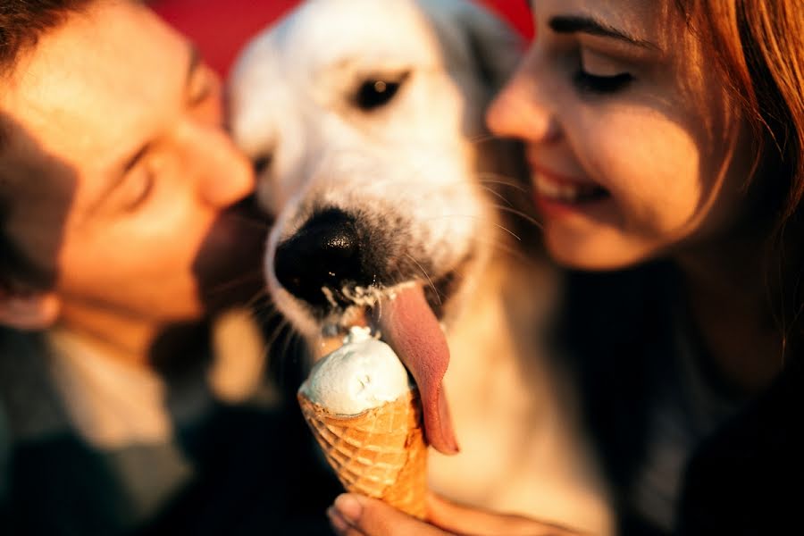 Photographe de mariage Anastasiya Bogdanova (abogdanova). Photo du 20 décembre 2017