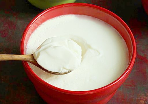 Plain Curd