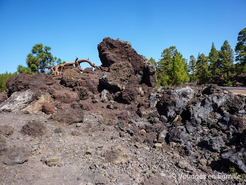 Tenerife, parc national du Teide, Mirador de los Poleos