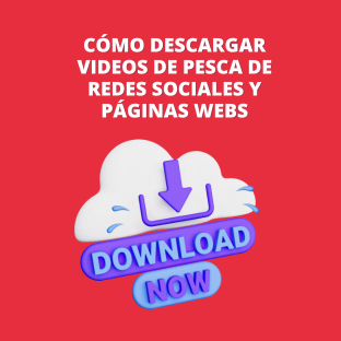 decargar video facebook, descargar video instagram, decargar videos de webs