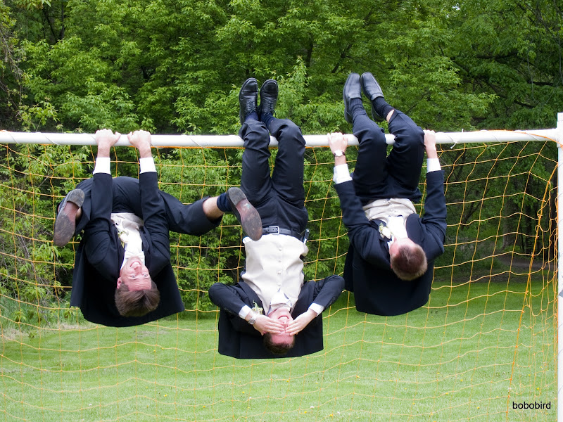 IMAGE: https://lh3.googleusercontent.com/_CJO7PukdLlc/S_KslPVAi4I/AAAAAAAAANs/Ee-AdpTBAcg/s800/IMG_0582.jpg