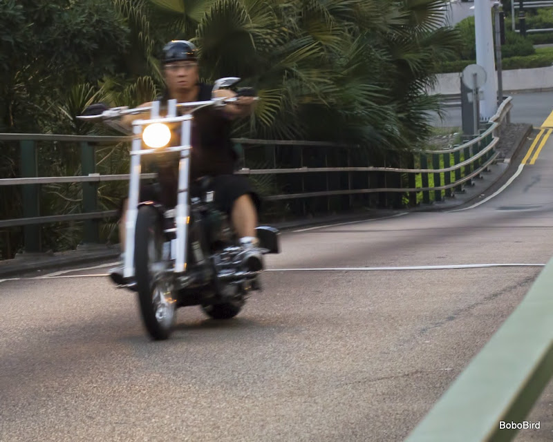 IMAGE: https://lh3.googleusercontent.com/_CJO7PukdLlc/TLqOCspGq_I/AAAAAAAACDY/fEYvVTllrN4/s800/IMG_0974-pw.jpg