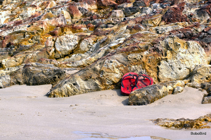 IMAGE: https://lh3.googleusercontent.com/_CJO7PukdLlc/Ta_z3jmNjoI/AAAAAAAAFiM/cbDPpPyGemw/s800/20110420_3153.jpg