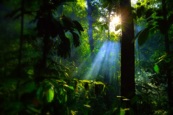 LUCE...Lo bel pianeta che d'amor conforta: Venere di fabryfoto