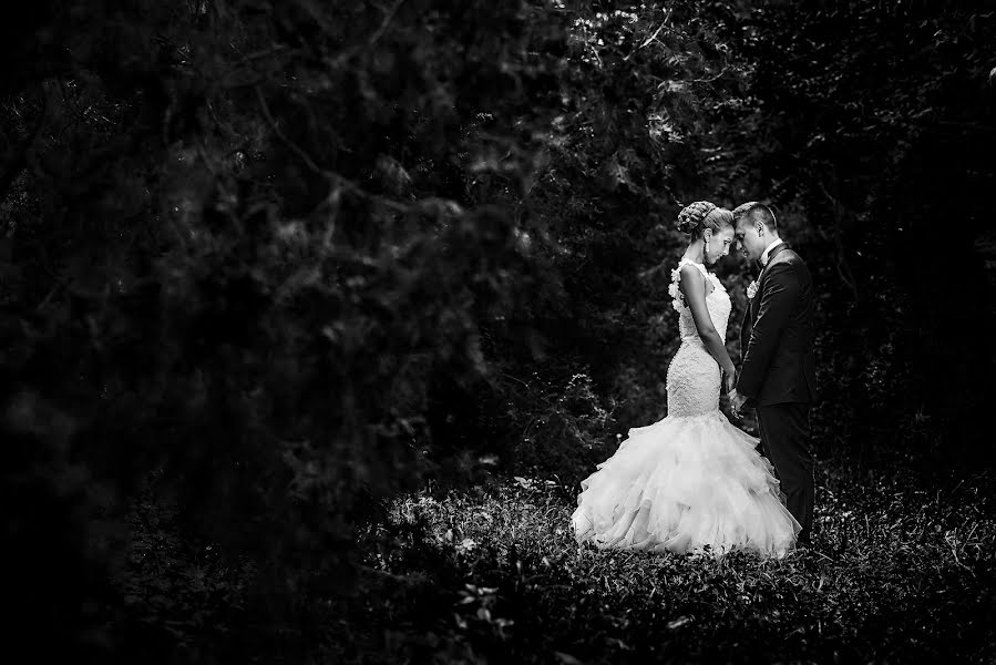 Photographe de mariage Marius Marcoci (mariusmarcoci). Photo du 16 novembre 2015