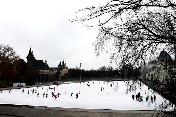 _Iced Budapest_ di Consuelo Meschini