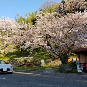 ロードスター ND型