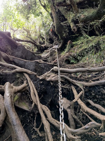 Mount Karioi Summit Track Metal Chains