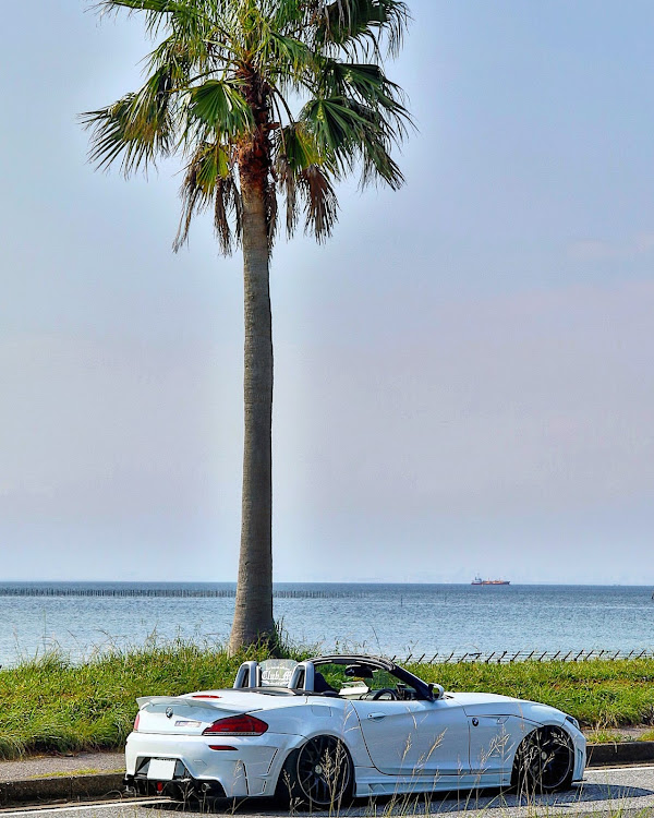 Z4 ロードスターのclub.M・Z dan・千葉フォルニアに関するカスタム事例の投稿画像1枚目