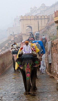 TODO EL DIA EN JAIPUR: 17 de Noviembre de 2010 - INDIA NORTE EN 16 DIAS (2)