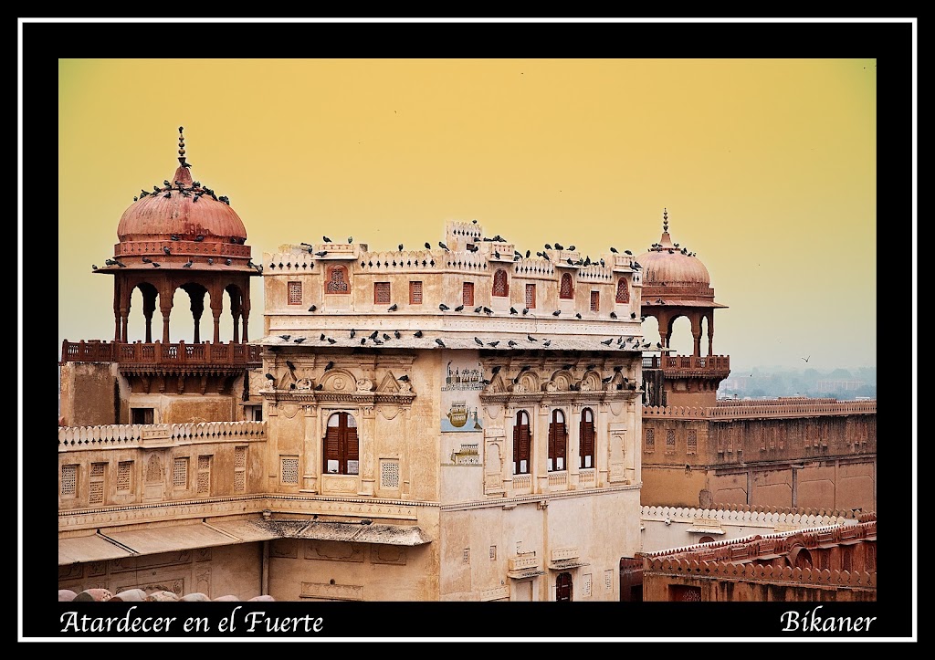 DE HUDDEL A BIKANER: 8 de Noviembre de 2010 - INDIA NORTE EN 16 DIAS (5)