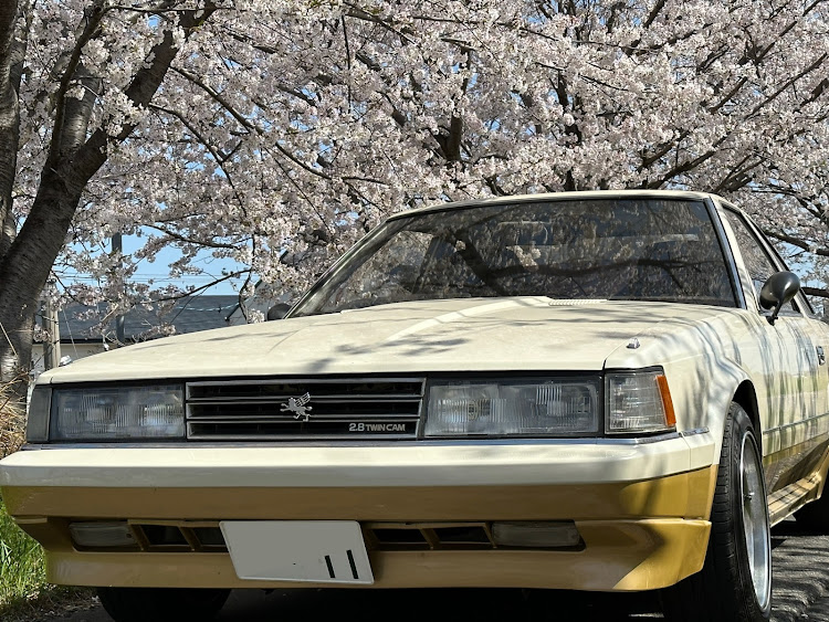 ソアラの桜・サクラと愛車・桜とコラボに関するカスタム事例の投稿画像3枚目
