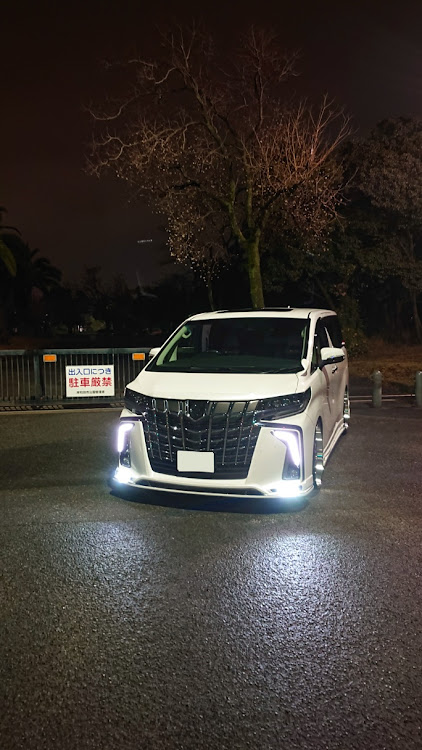 アルファードの2019ベストショット・今年最後の洗車・最後の洗車・三時間掛けてポリシャーと鏡面仕上げに関するカスタム事例の投稿画像4枚目
