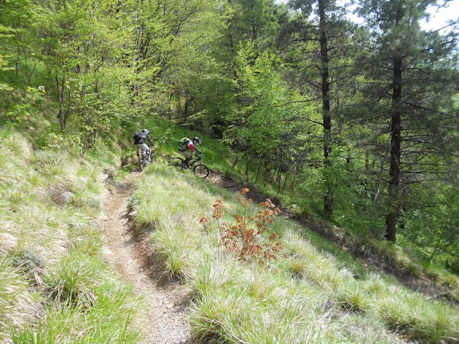 DSCN3394.JPG
