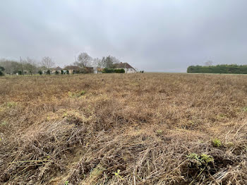 terrain à Villemereuil (10)