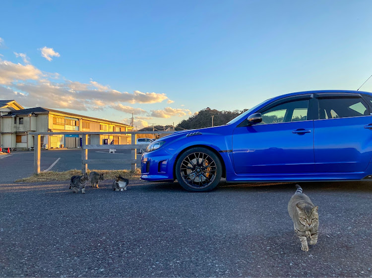 インプレッサ WRX STIの房総半島ドライブ・また猫三昧・夕陽と海とGV・ウルフムーン🌕・teamBOXERに関するカスタム事例の投稿画像7枚目