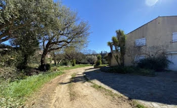 maison à Bormes-les-Mimosas (83)