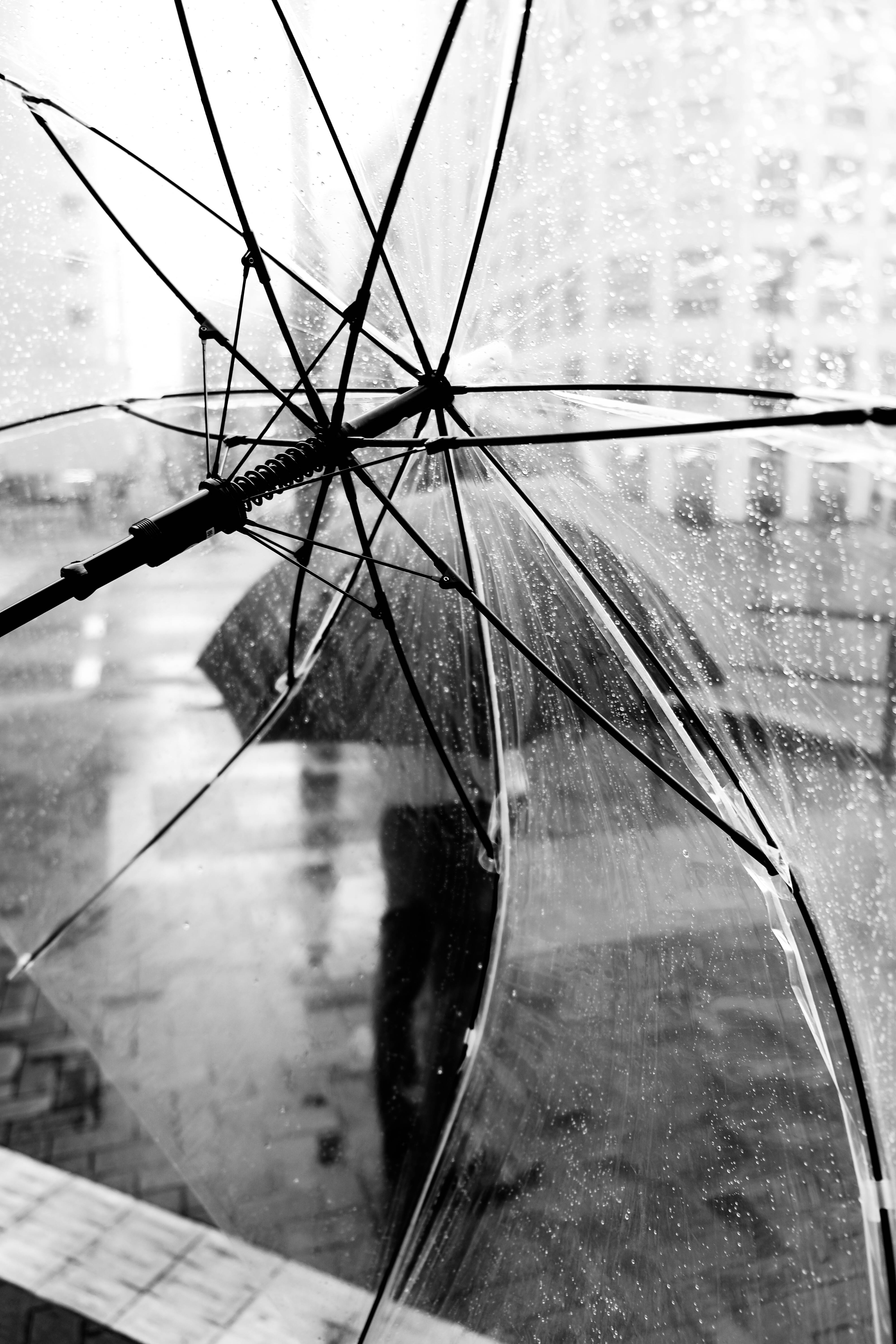 Through The Umbrella di claudio1984