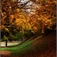 Scorcio autunnale di 