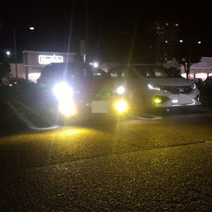 フィット RS