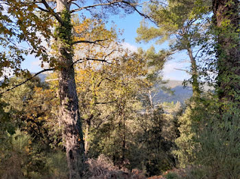 terrain à Néoules (83)