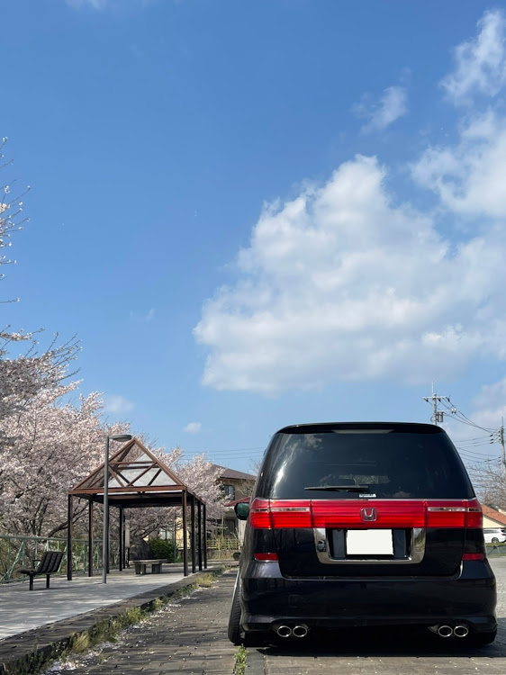 エリシオンプレステージのエリシオンプレステージ・エリシオンギャング・桜とコラボ🌸・ケツショットに関するカスタム事例の投稿画像1枚目
