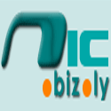 Free Domain .BIZ.LY