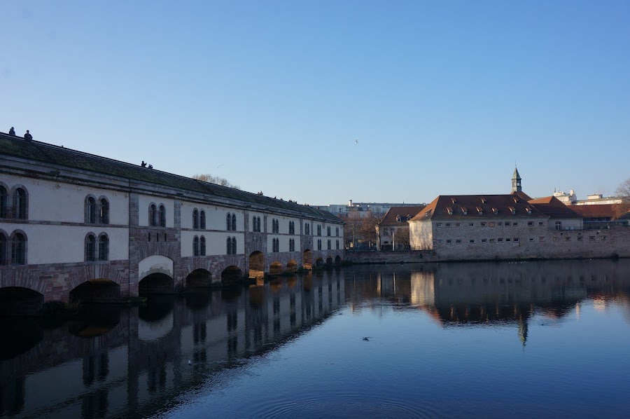 Рождественский декабрь, Шварцвальд и еще немного