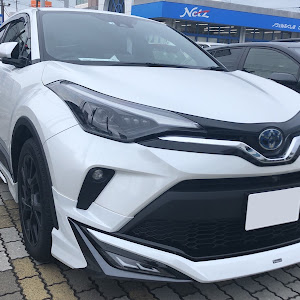 C-HR ZYX11