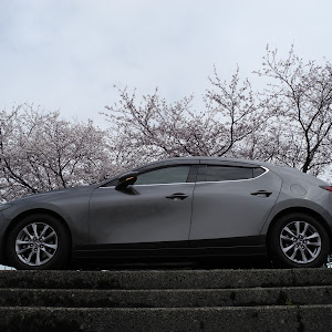 MAZDA3 BP8P