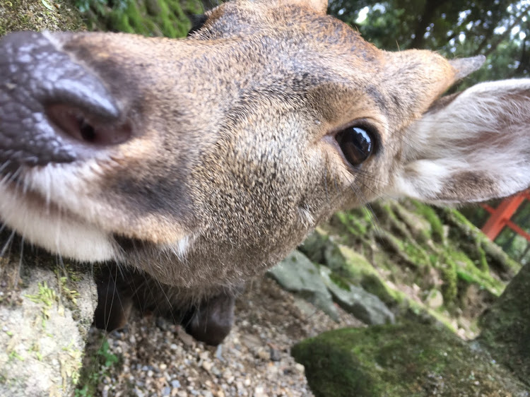 の投稿画像10枚目